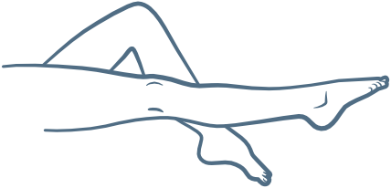 Image représentant la DLM